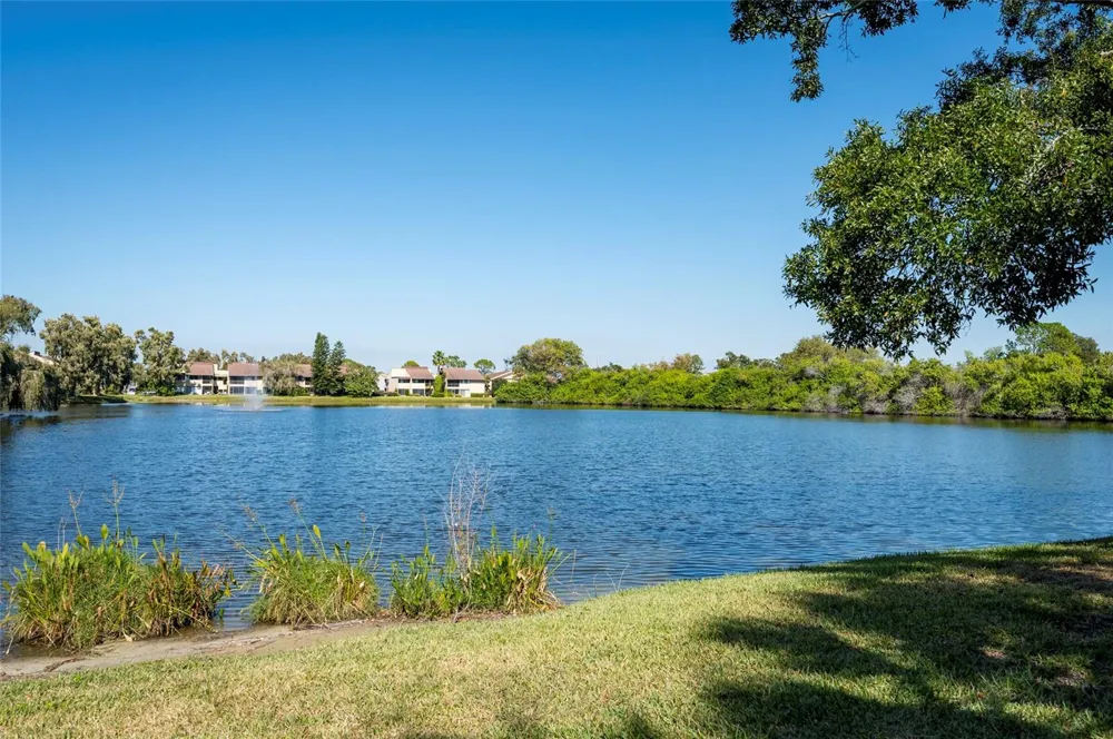 735 S VILLAGE DRIVE #206 St Petersburg, FL 33716