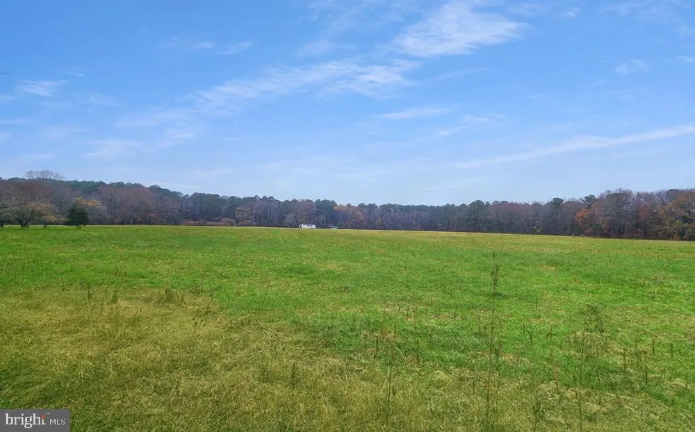 26355 MOUNT NEBO ROAD Onancock, VA 23417