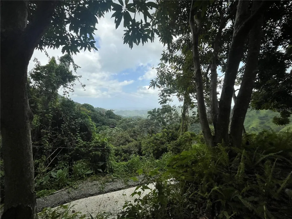 KM 19.9 CARR 128 Yauco, PR 00698