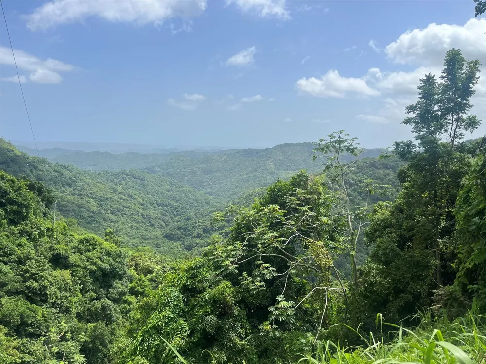 KM 19.9 CARR 128 Yauco, PR 00698