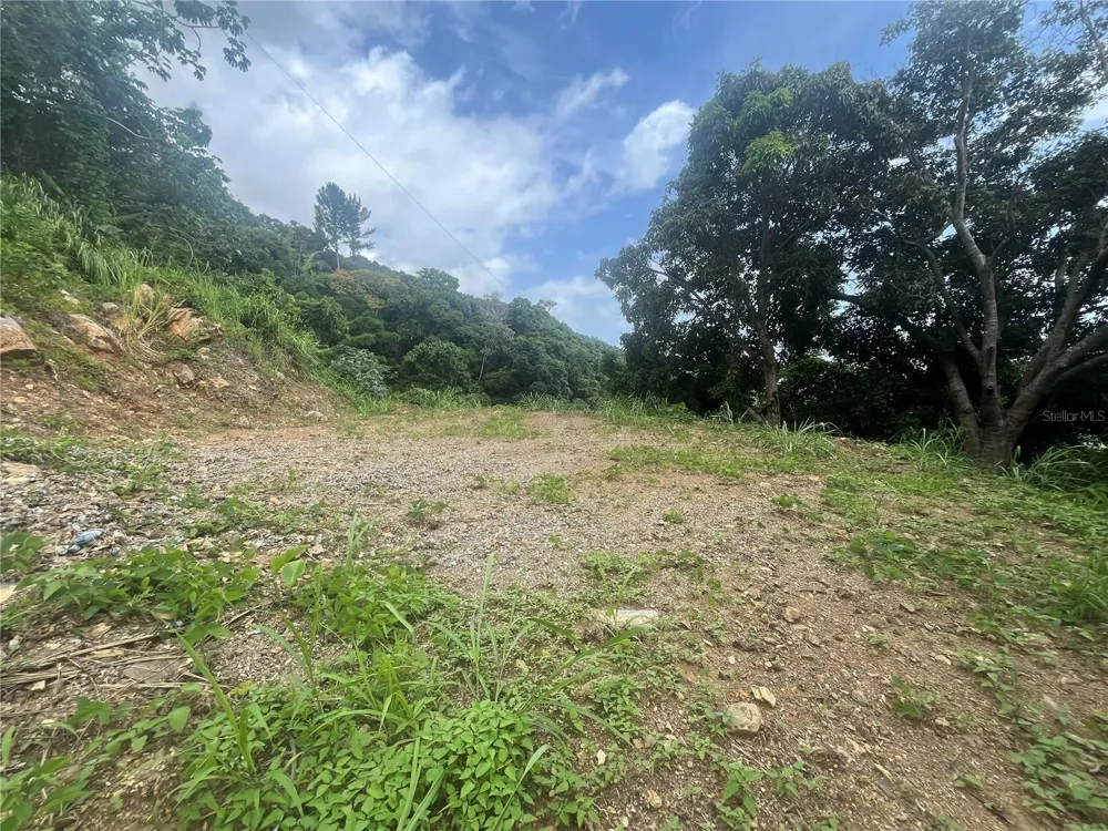 KM 19.9 CARR 128 Yauco, PR 00698