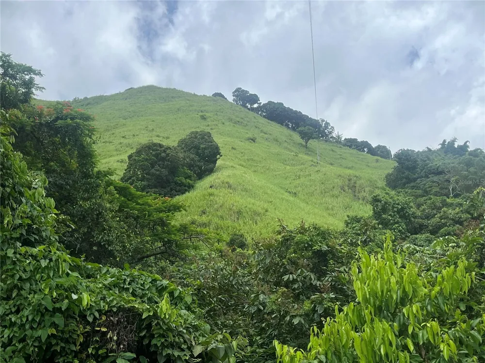 KM 19.9 CARR 128 Yauco, PR 00698