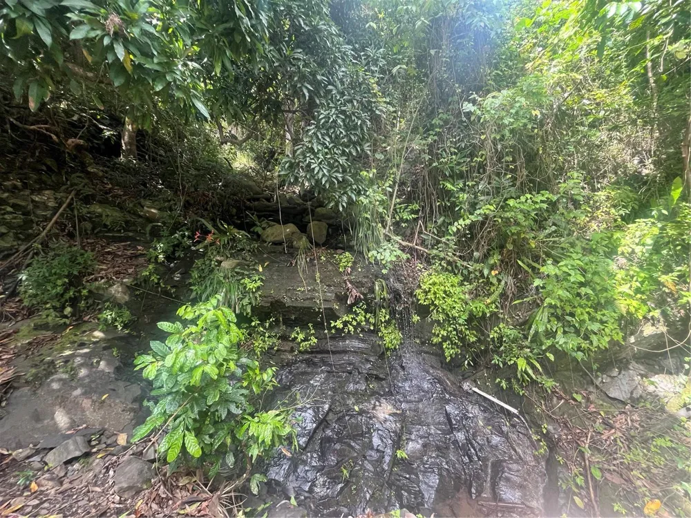 KM 19.9 CARR 128 Yauco, PR 00698