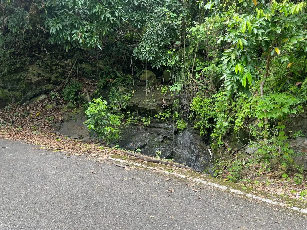 KM 19.9 CARR 128 Yauco, PR 00698