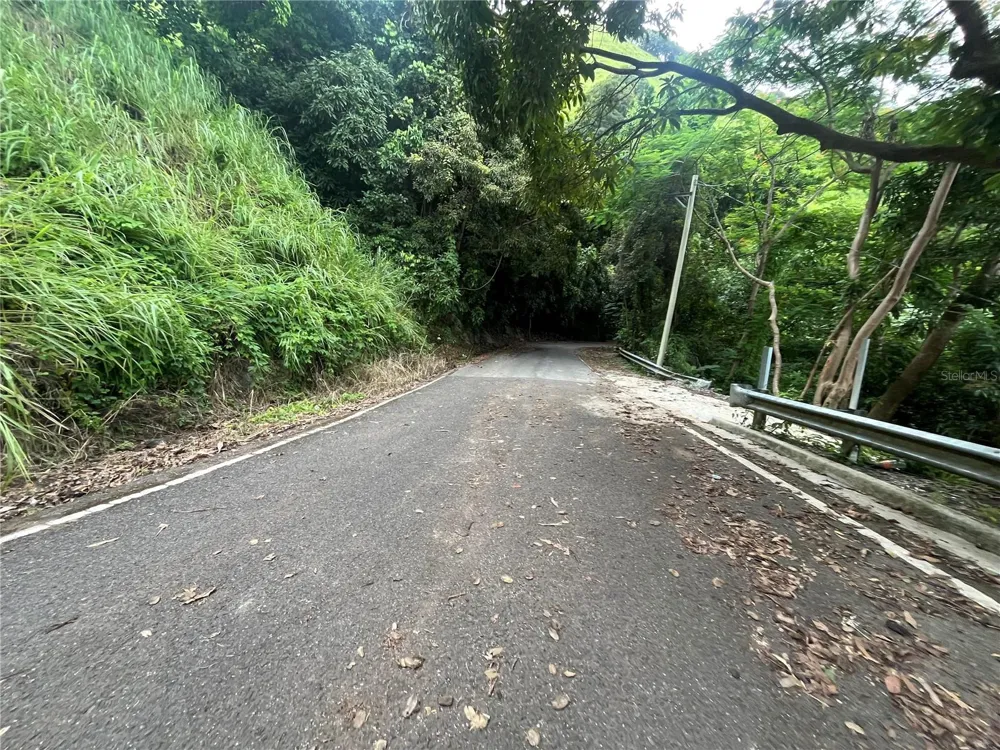 KM 19.9 CARR 128 Yauco, PR 00698