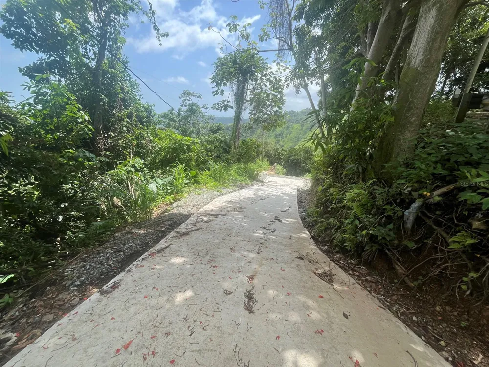 KM 19.9 CARR 128 Yauco, PR 00698