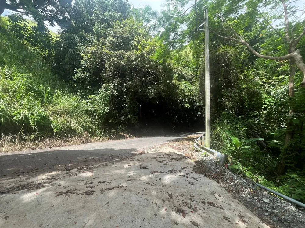 KM 19.9 CARR 128 Yauco, PR 00698