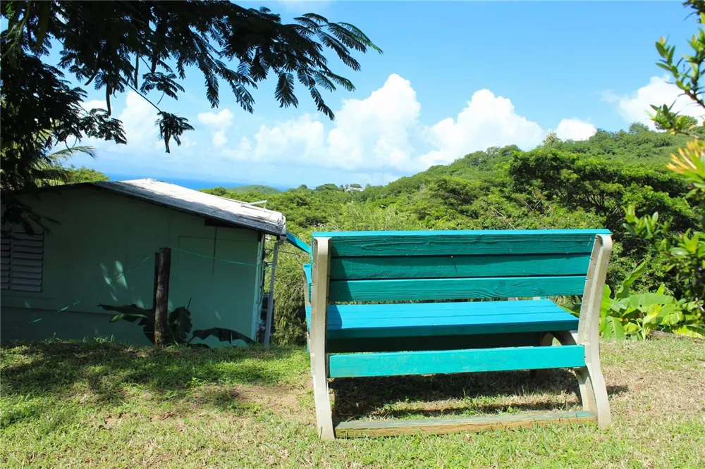 15 BIRD'S NEST STUDIOS Vieques, PR 00765