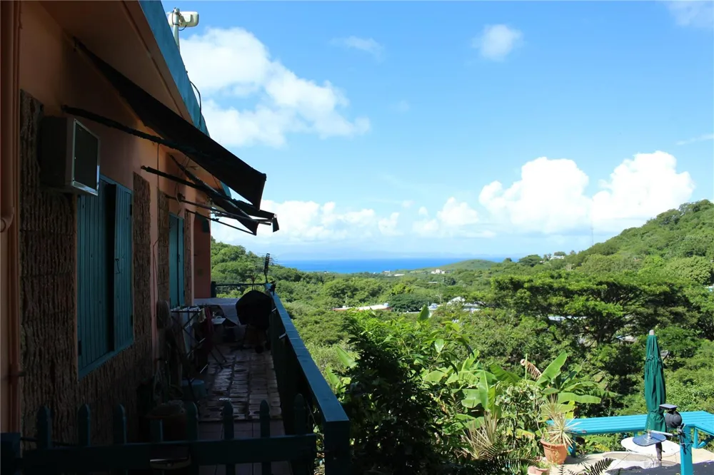 15 BIRD'S NEST STUDIOS Vieques, PR 00765