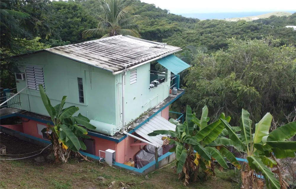 15 BIRD'S NEST STUDIOS Vieques, PR 00765