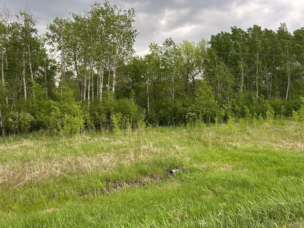 TBD 160th Street NE Thief River Falls, MN 56701