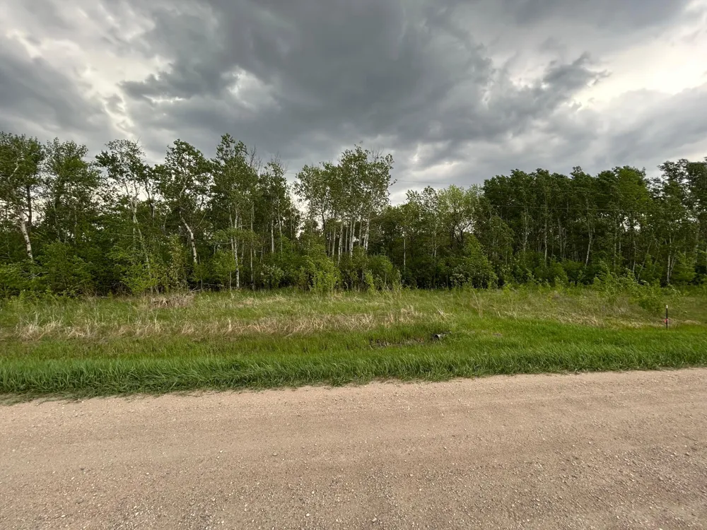 TBD 160th Street NE Thief River Falls, MN 56701