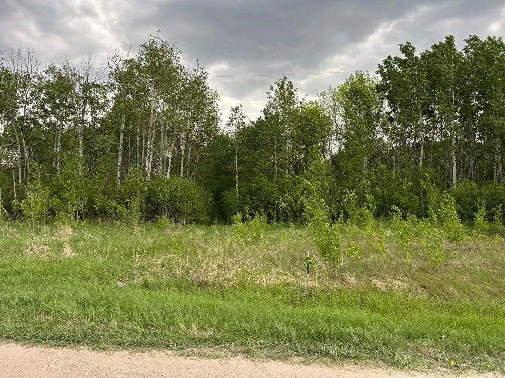 TBD 160th Street NE Thief River Falls, MN 56701