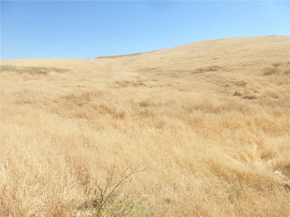 Douglas Rd. (Lot 42) San Miguel, CA 93451