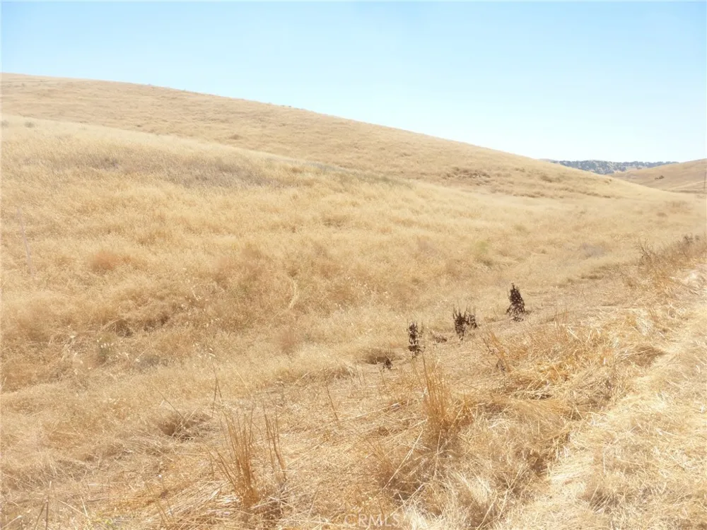Douglas Rd. (Lot 42) San Miguel, CA 93451