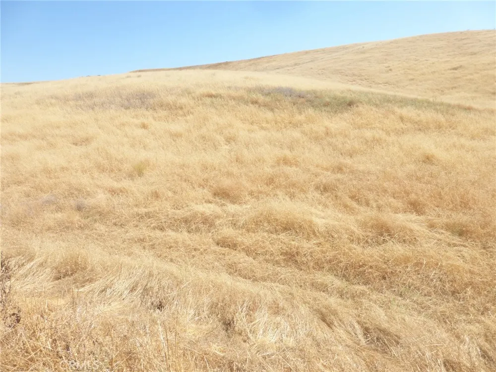 Douglas Rd. (Lot 42) San Miguel, CA 93451
