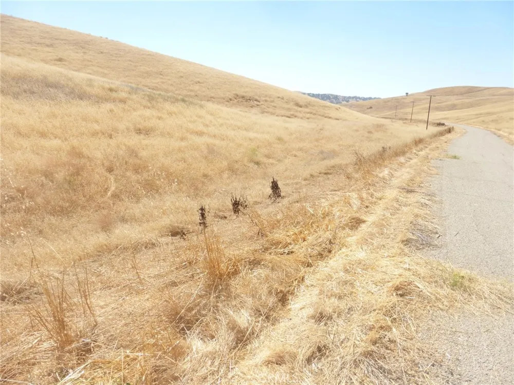 Douglas Rd. (Lot 42) San Miguel, CA 93451