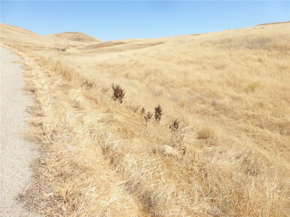 Douglas Rd. (Lot 42) San Miguel, CA 93451