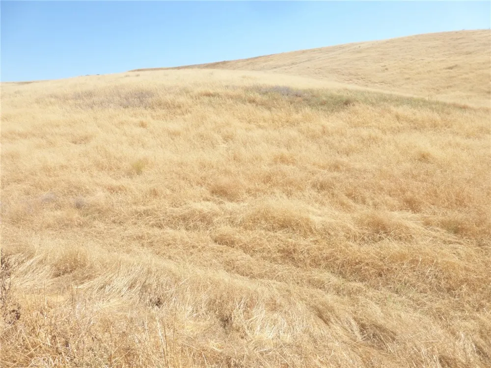 Douglas Rd. (Lot 42) San Miguel, CA 93451