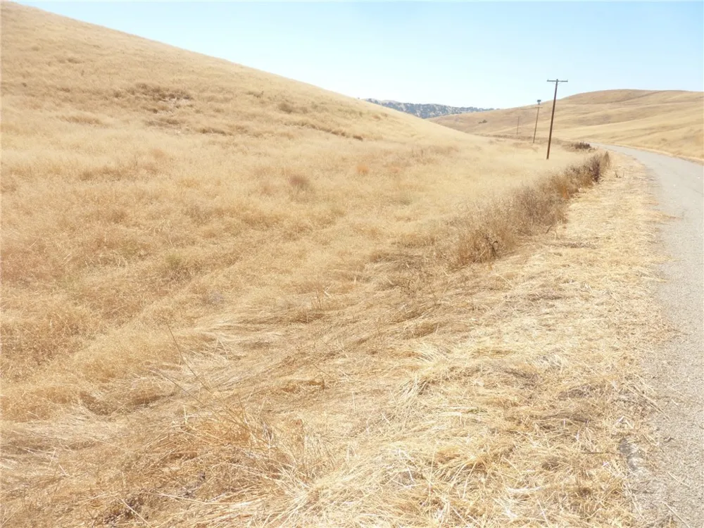 Douglas Rd. (Lot 42) San Miguel, CA 93451