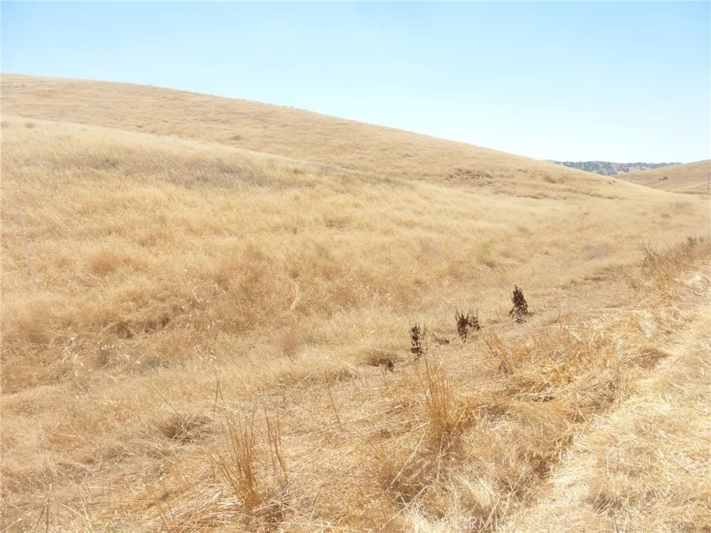 Douglas Rd. (Lot 42) San Miguel, CA 93451