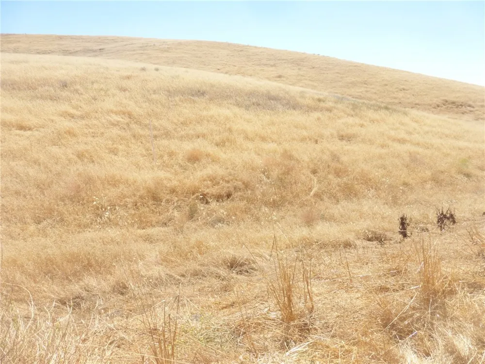 Douglas Rd. (Lot 42) San Miguel, CA 93451