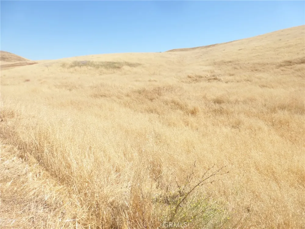Douglas Rd. (Lot 42) San Miguel, CA 93451