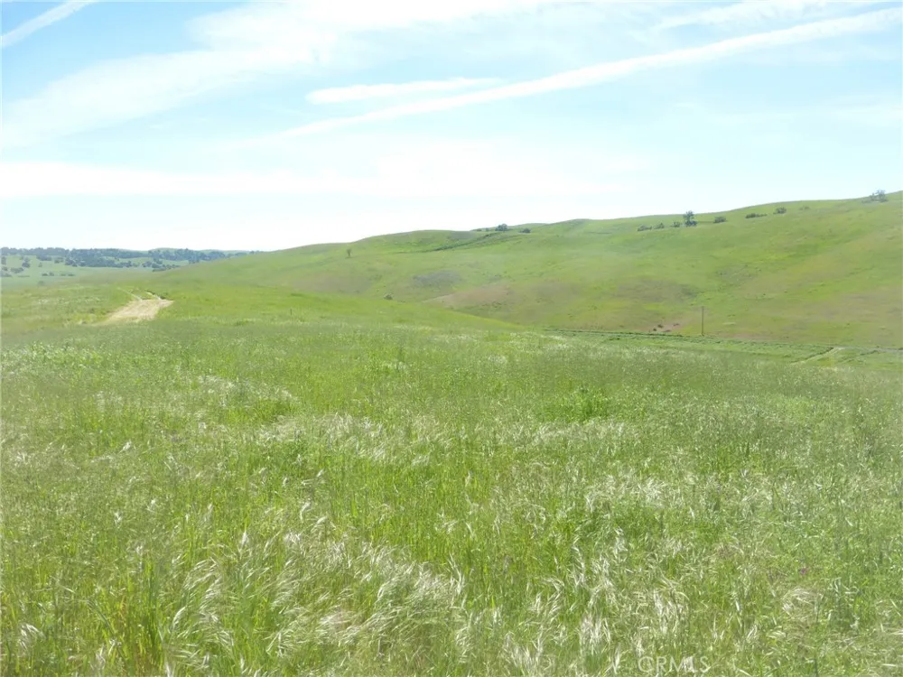 Douglas Rd. (Lot 42) San Miguel, CA 93451