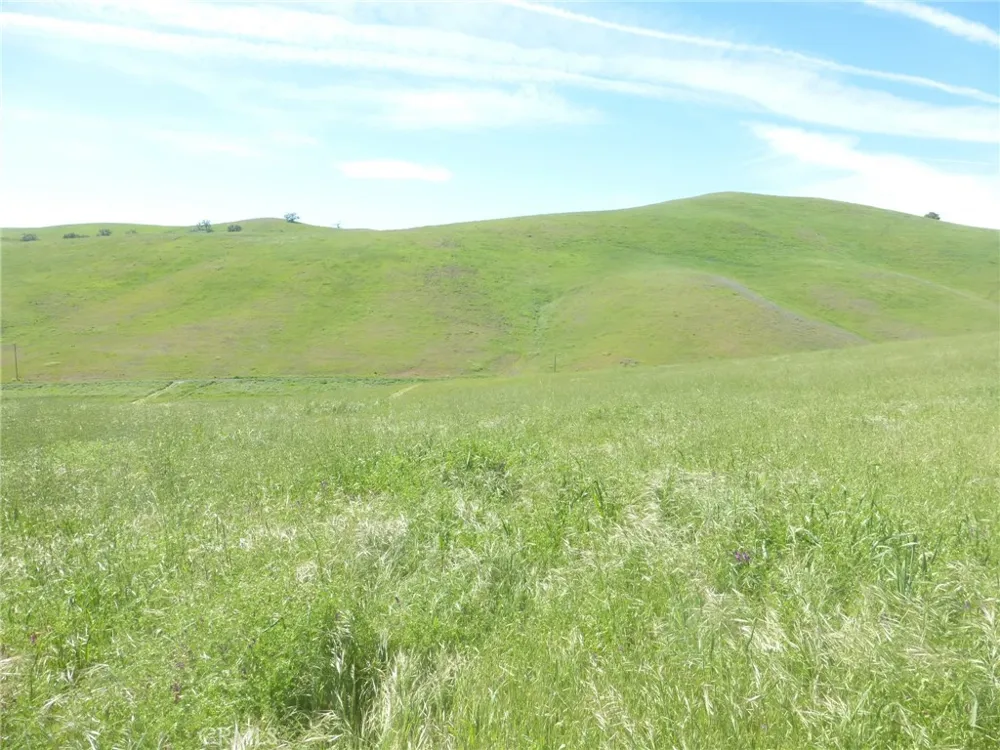 Douglas Rd. (Lot 42) San Miguel, CA 93451