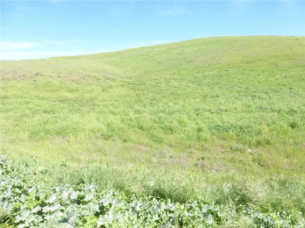 Douglas Rd. (Lot 42) San Miguel, CA 93451