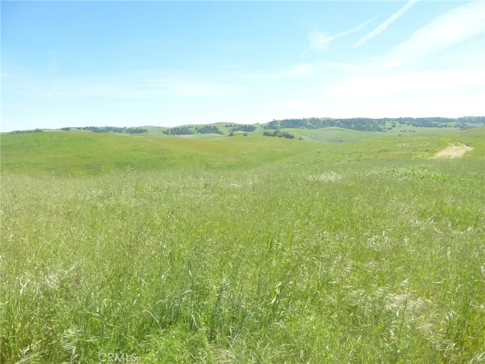 Douglas Rd. (Lot 42) San Miguel, CA 93451