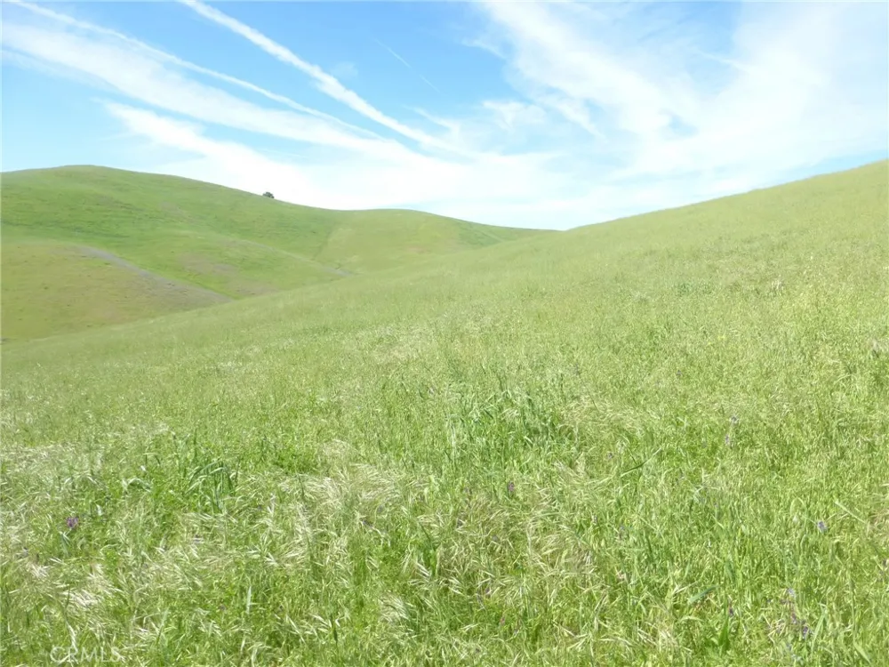 Douglas Rd. (Lot 42) San Miguel, CA 93451