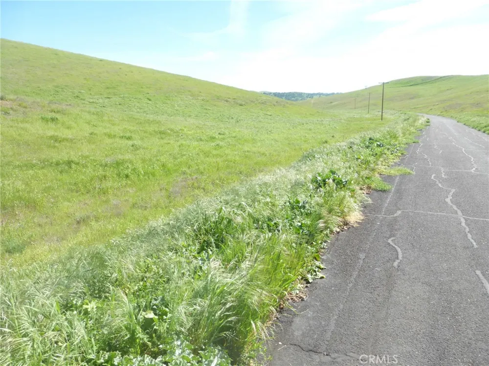 Douglas Rd. (Lot 42) San Miguel, CA 93451