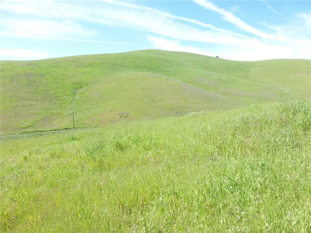 Douglas Rd. (Lot 42) San Miguel, CA 93451