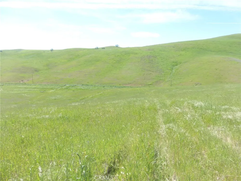 Douglas Rd. (Lot 42) San Miguel, CA 93451