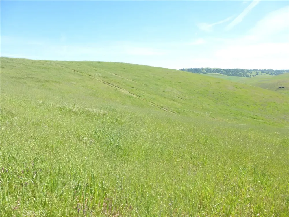 Douglas Rd. (Lot 42) San Miguel, CA 93451