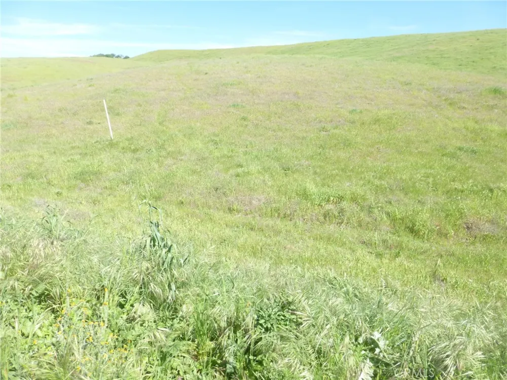 Douglas Rd. (Lot 42) San Miguel, CA 93451
