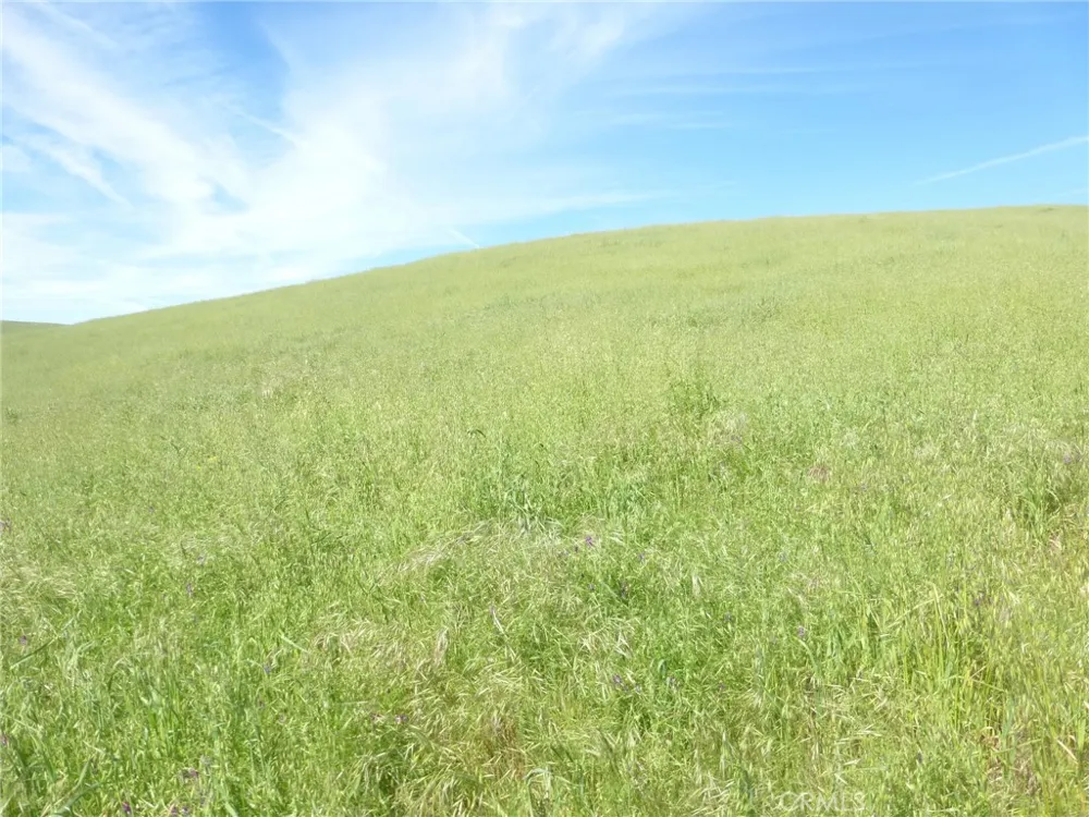 Douglas Rd. (Lot 42) San Miguel, CA 93451