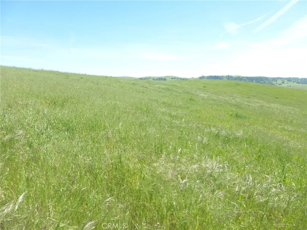 Douglas Rd. (Lot 42) San Miguel, CA 93451