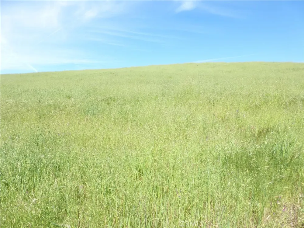 Douglas Rd. (Lot 42) San Miguel, CA 93451