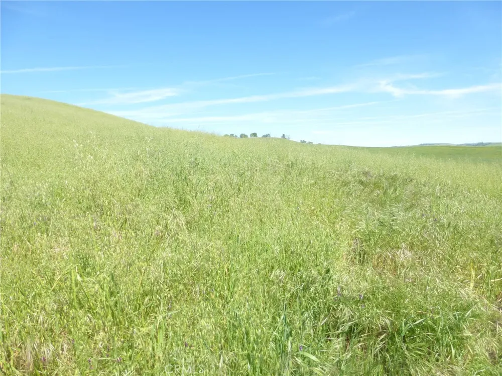 Douglas Rd. (Lot 42) San Miguel, CA 93451