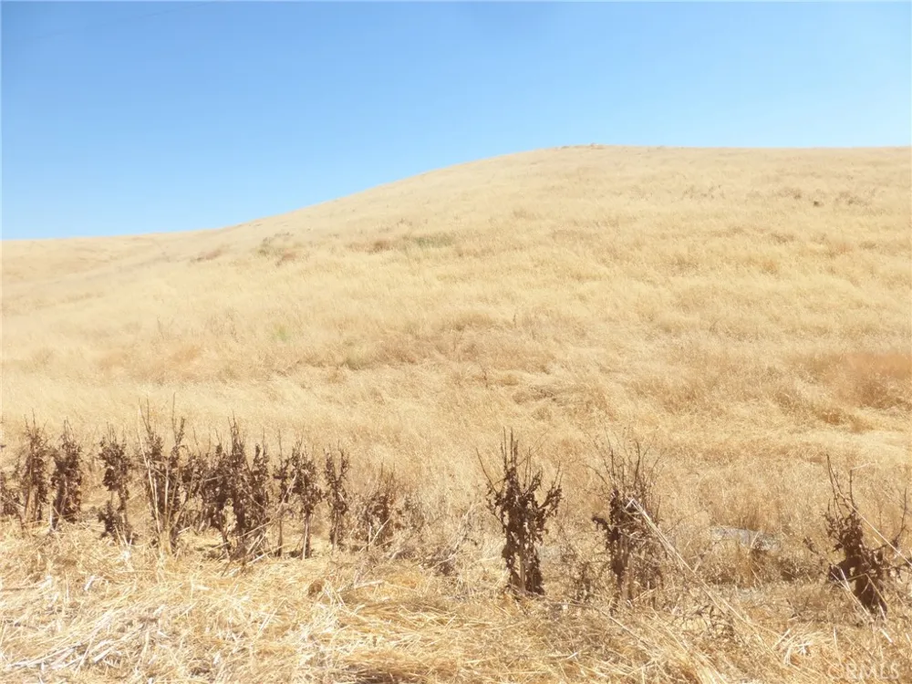 Douglas Rd. (Lot 41) San Miguel, CA 93451