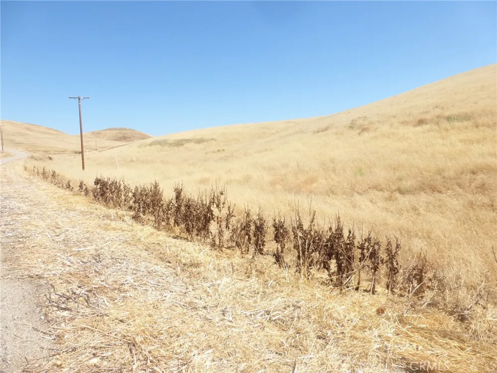Douglas Rd. (Lot 41) San Miguel, CA 93451