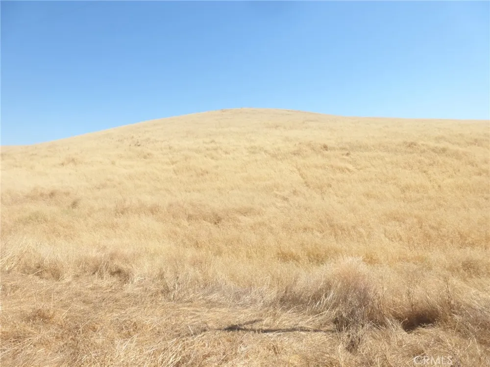 Douglas Rd. (Lot 41) San Miguel, CA 93451