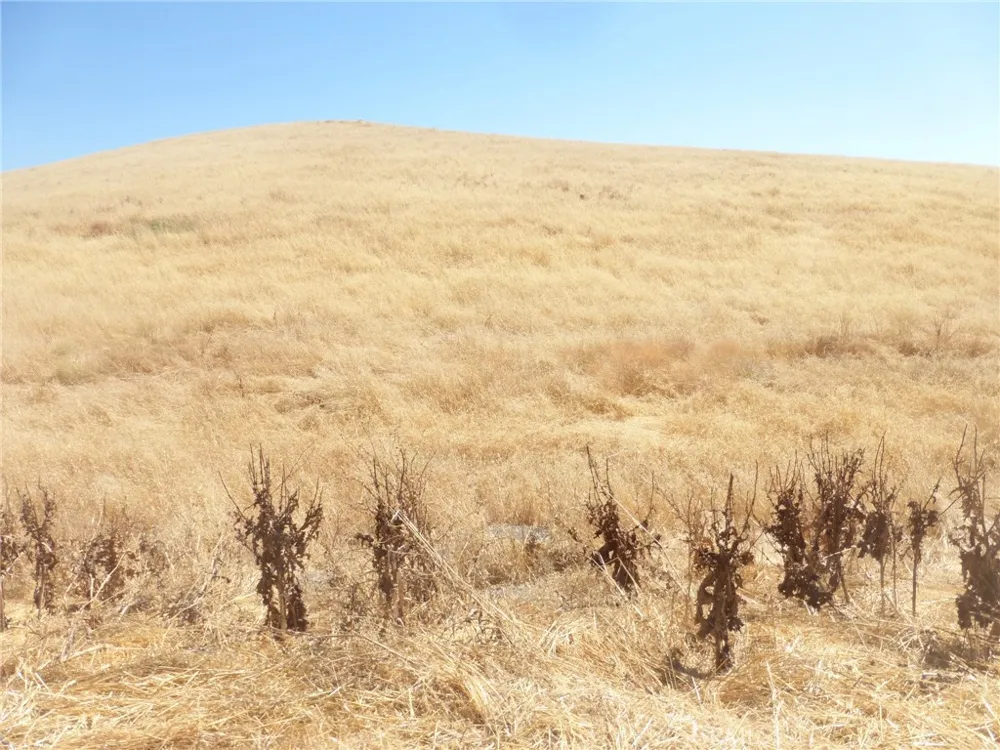 Douglas Rd. (Lot 41) San Miguel, CA 93451