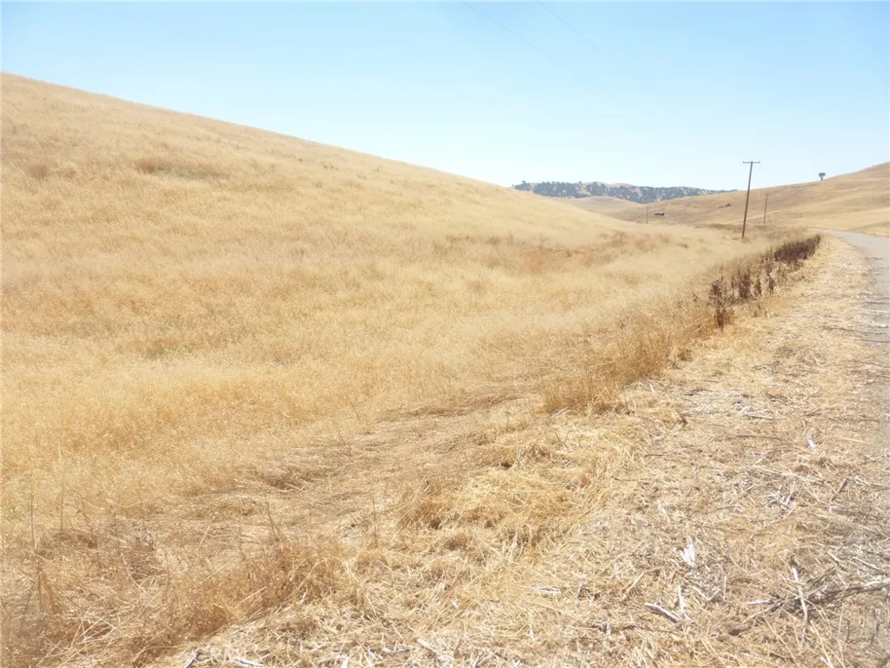 Douglas Rd. (Lot 41) San Miguel, CA 93451