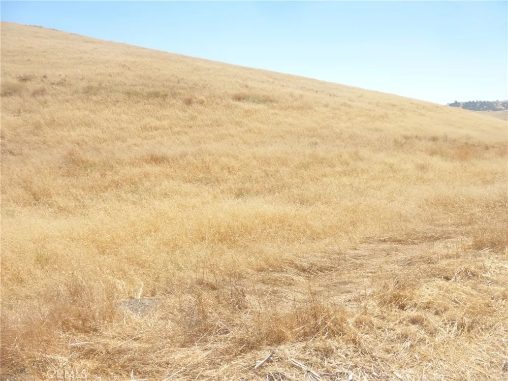Douglas Rd. (Lot 41) San Miguel, CA 93451