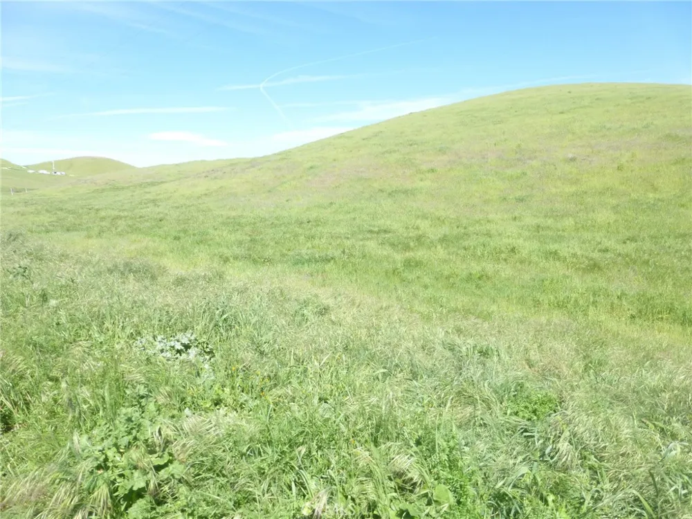 Douglas Rd. (Lot 41) San Miguel, CA 93451