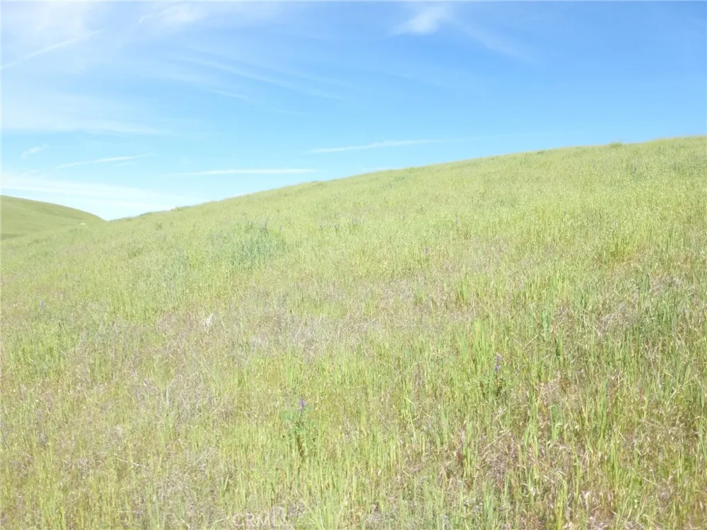 Douglas Rd. (Lot 41) San Miguel, CA 93451