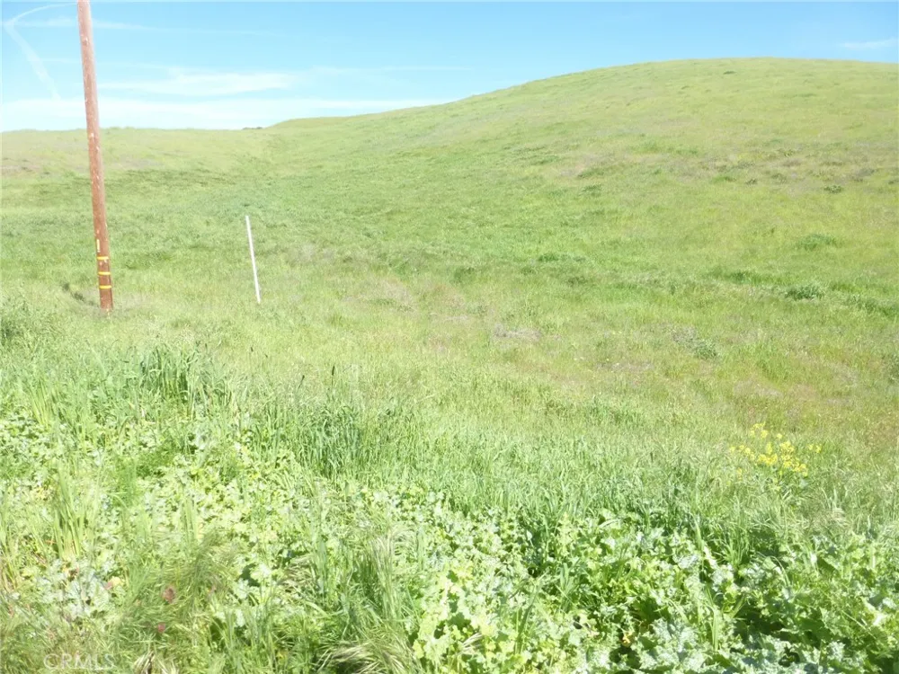 Douglas Rd. (Lot 41) San Miguel, CA 93451
